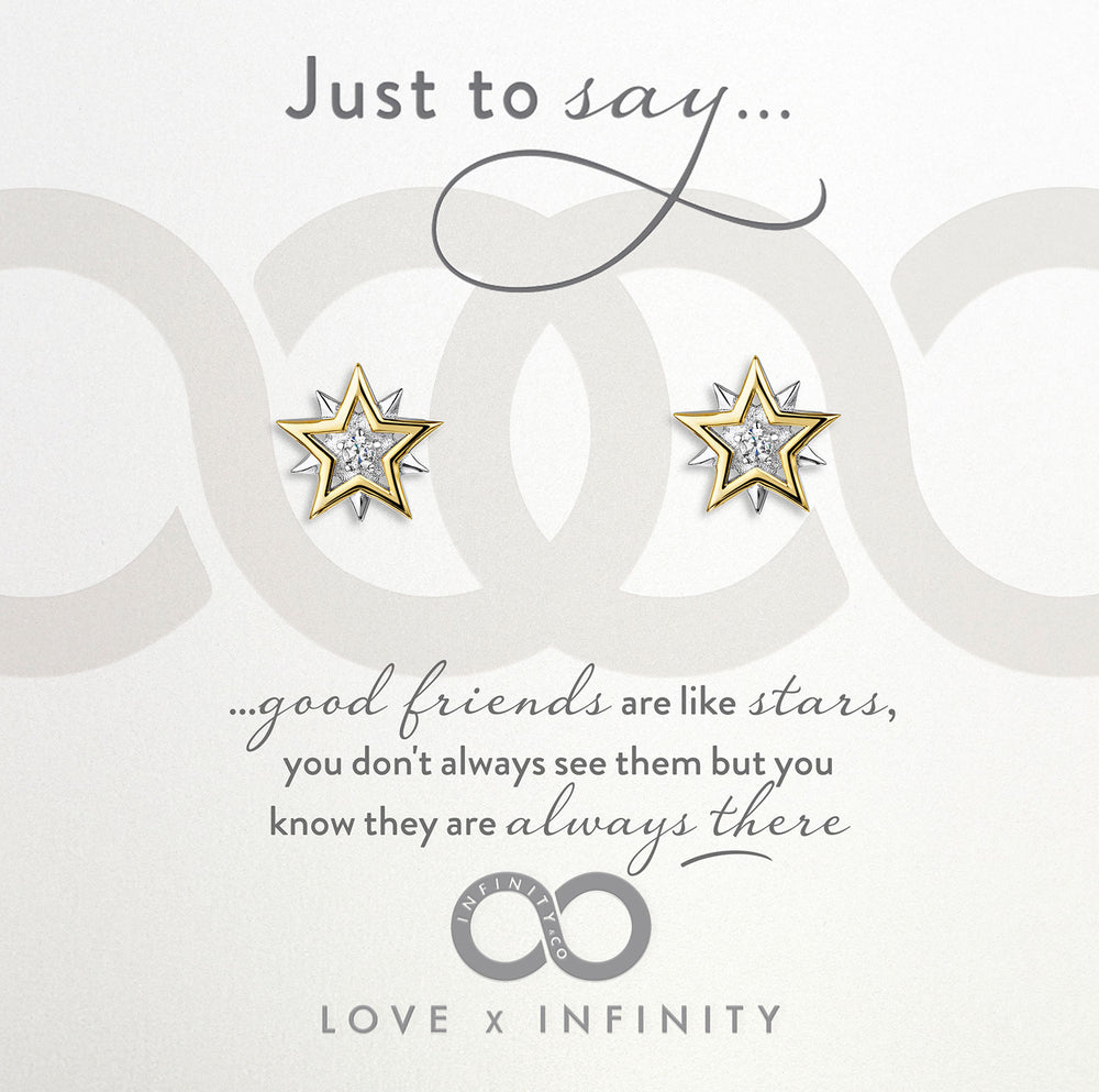 
            
                Load image into Gallery viewer, LXI Star Earrings
            
        